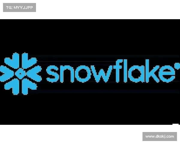 在Snowflake的影响下,团队再也无法承受弱数据安全的代价 在Snowflake的影响下,团队再也无法承受弱数据安全的代价