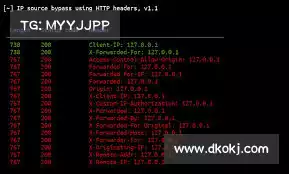 手机能上推特的加速器——洞察成果，助力决策，立即提升项目价值！